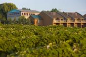 The Inn at Glenora Wine Cellars, Winery, Winery Weddings, Finger Lakes Region, Dundee, NY