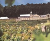 Heron Hill Winery, Keuka Lake, Finger Lakes Region, Winery Weddings, Hammondsport, NY