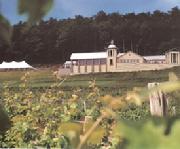 Heron Hill Winery, Winery Weddings, Finger Lakes NY, Hammondsport,NY